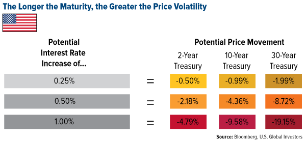 the Longer the Maturity, the Greater the Price Volatility