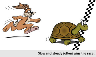 slow-and-steady-often-wins-the-race