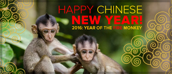 Happy Chinese New Year! 2016: Year of the Fire Monkey