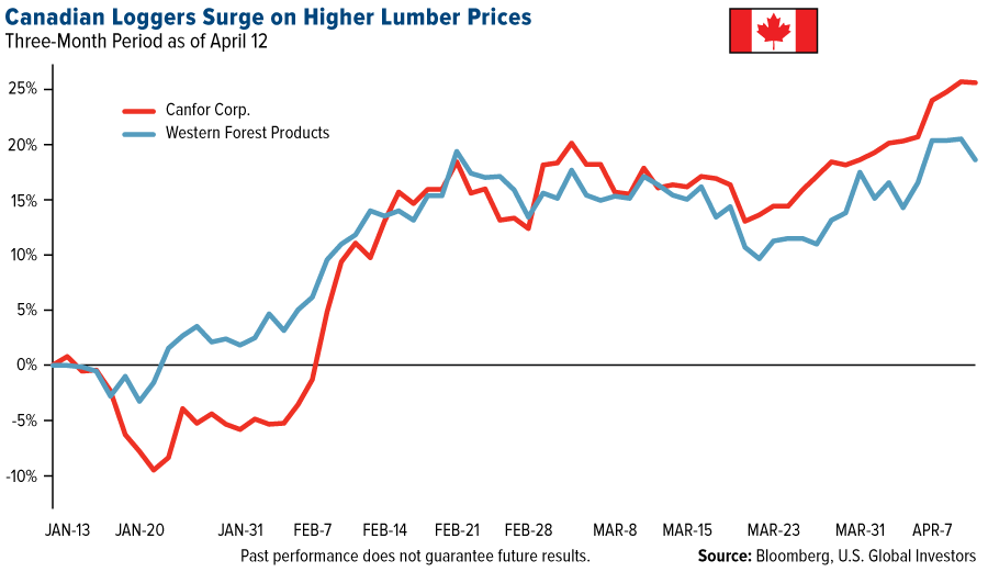Get Ready for Inflation! Lumber Logs a 12-Year High - U.S. ...