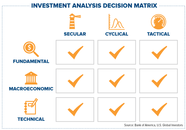 Investment analysis decision matrix