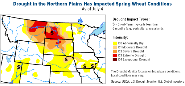 drought in the northern plains has impacted spring wheat conditions