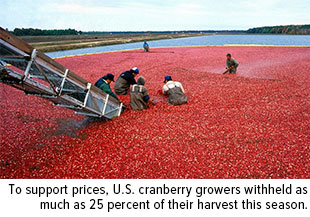 to support prices, U.S. cranberry growers withheld as much as 25 percent of their harvest this season