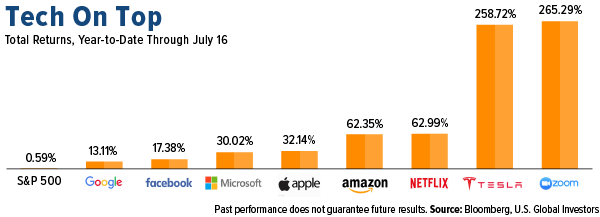 tech companies on top in 2020 so far like zoom, tesla and netflix