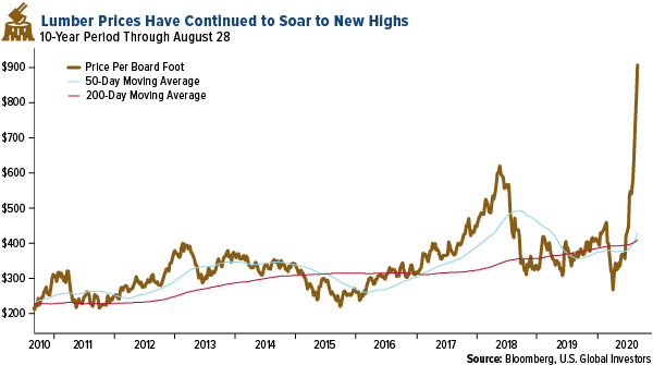 lumber prices have continued to soar to new highs