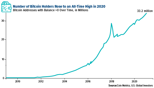 number of bitcoin holders rose to an all time high in 2020