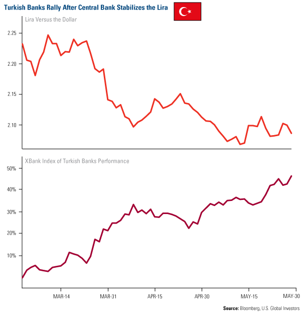 Turkish Banks Rally After Central Bank Stabilizes the Lira