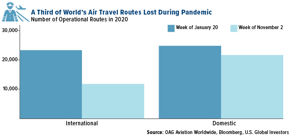 a third of the world's air travel routes were lost during the pandemic