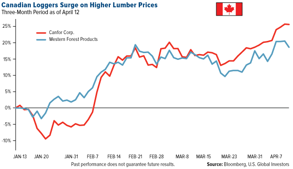canadian loggers surge on higher lumber prices