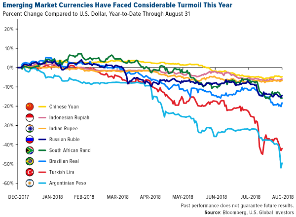Emerging market currencies have faced considerable turmoil this year