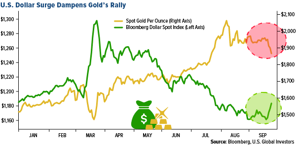 U.S. Dollar surge dampens gold's rally