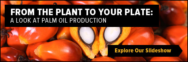 From the plan tto your plate: A look at palm oil production - Explore the Slideshow!