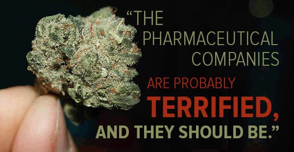 the pharmaceutical companies are probably terrified, and they should be.
