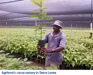 Agriterras Cocoa Nursery