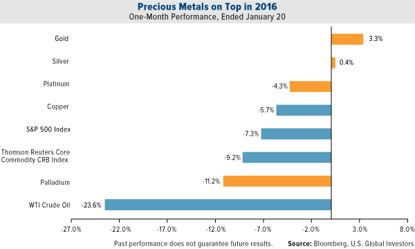 Precious Metals on Top in 2016