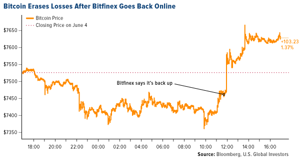 bitcoin erases losses after bitfinex goes back online