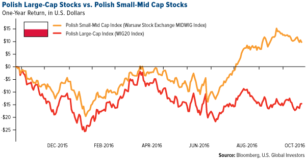Polish Large-Cap Stocks vs. Polish Small-Mid Cap Stocks