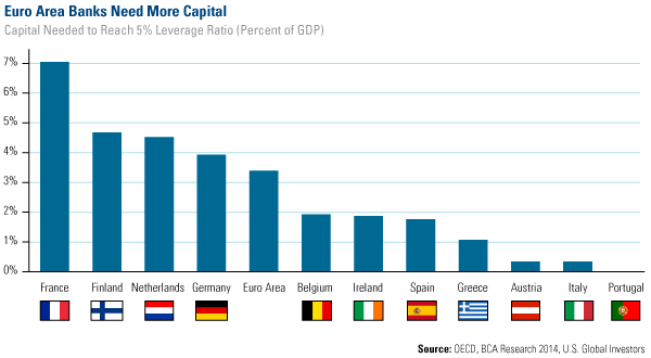 Euro Area Banks Need More Capital