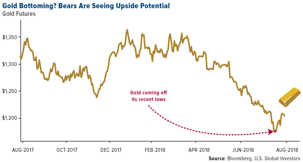 is gold bottoming bears are seeing upside potential