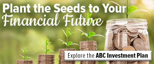 Plant the seeds to your financial future