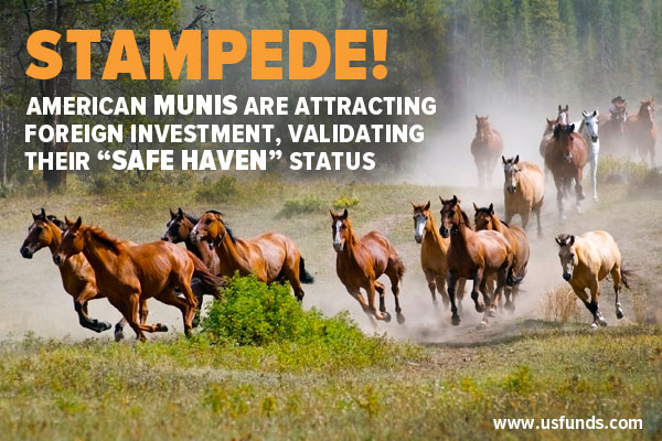 Stampede! American Munis are attracting foreign investment, validating their Safe Haven status