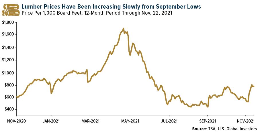 Lumber Prices Have Been Increasing Slowly from September Lows