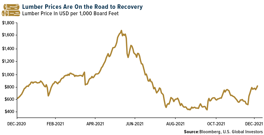 Lumber prices are on the road to recovery