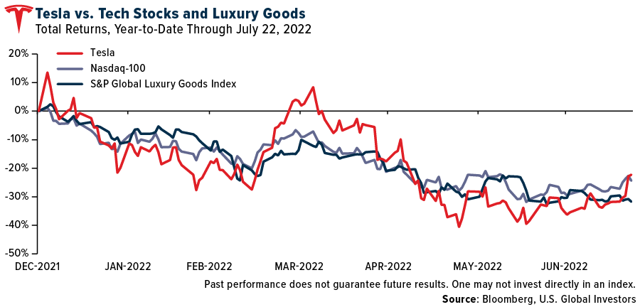Telsa vs Tech Stocks and luxury goods
