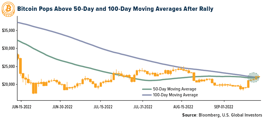 Bitcoin Pops Above 50 Day Moving average after rally