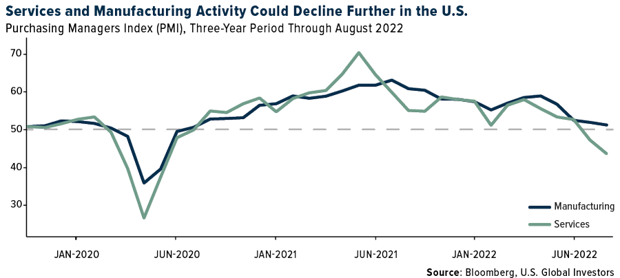 Services and Manufacturing Activity Could Decline Further in the U.S.