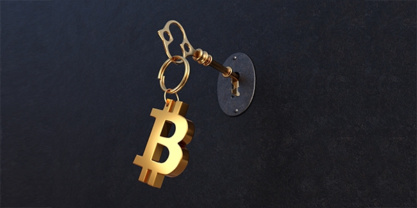 Bitcoin Is a Key Component of the Great Digital Transformation