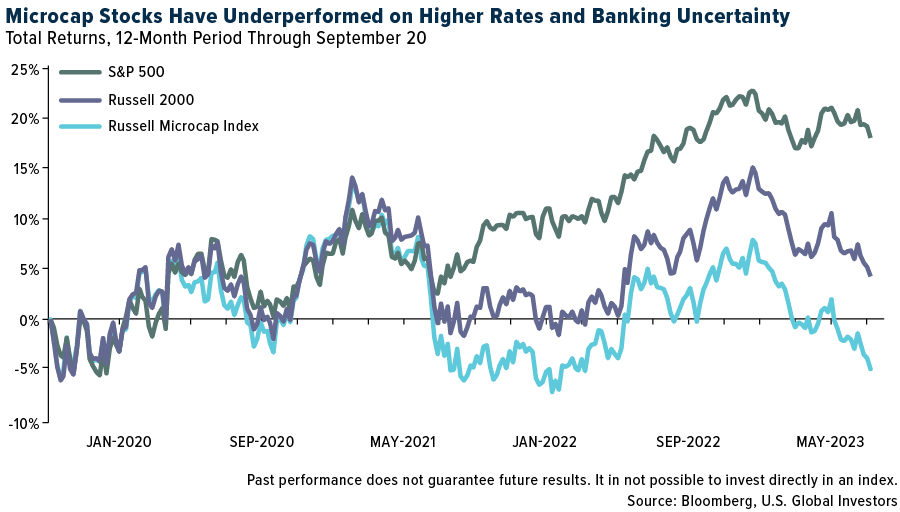 Microcap stocks have underperformed on higher rates and banking uncertainty